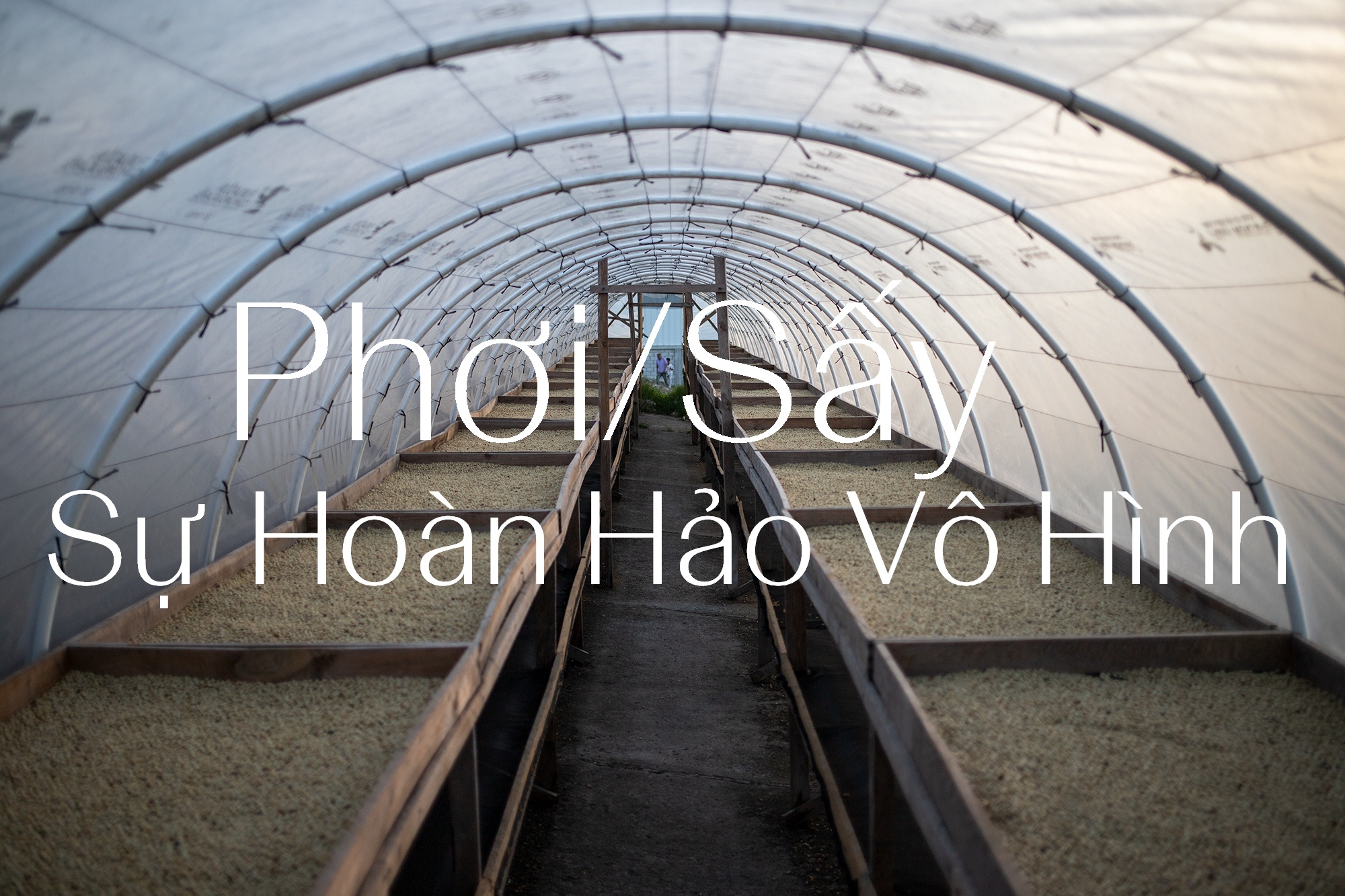 Phơi/Sấy Khô, Sự Hoàn Hảo Vô Hình