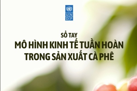 Thách Thức Môi Trường Và Khí Hậu Trong Sản Xuất Cà Phê