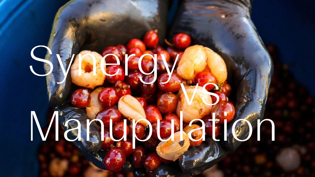 Lên Men Cà Phê Hiển Lộ Bản Sắc Hay Vải Nhung Che Đậy Giả Dối