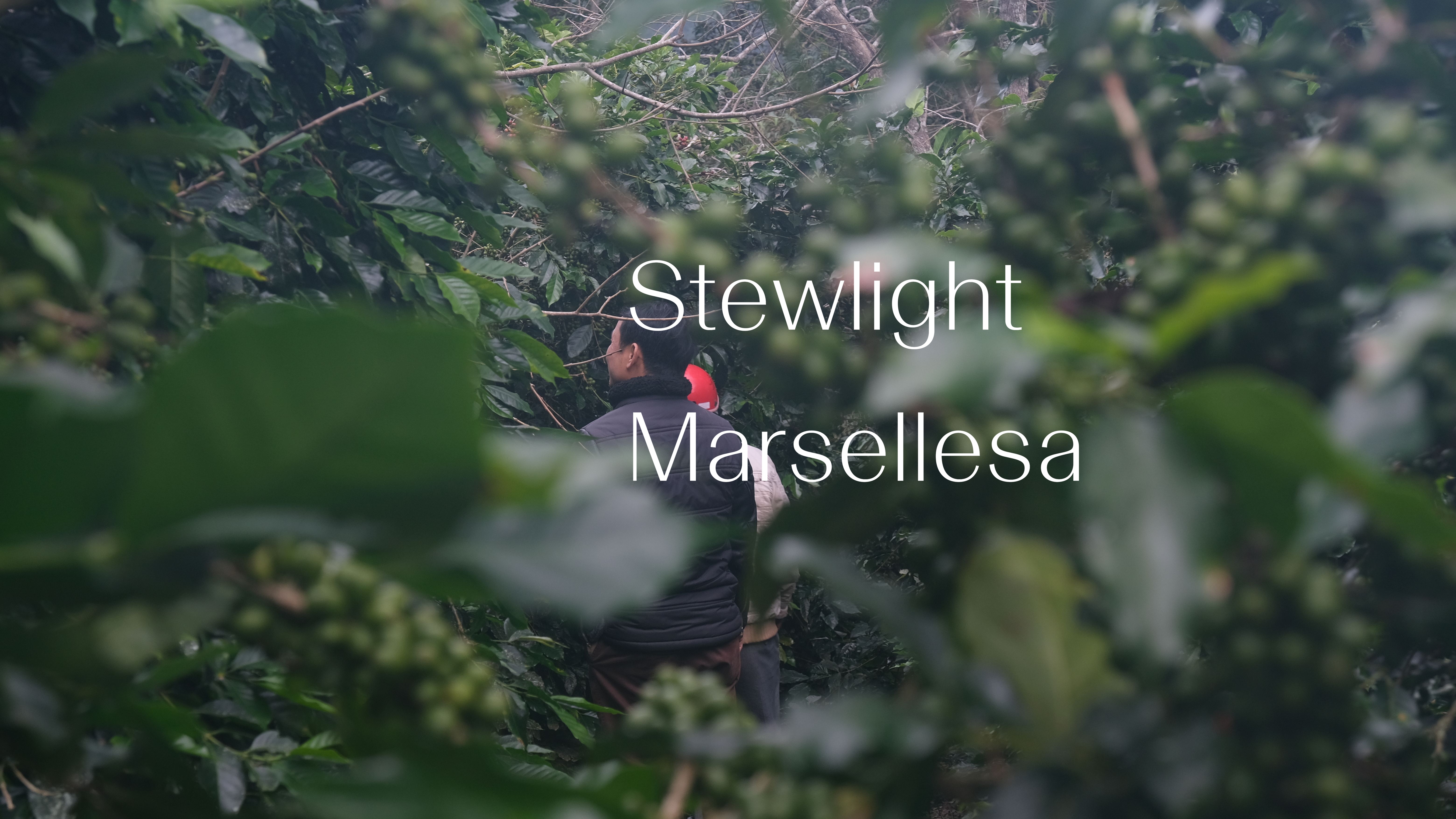 Stewlight - Marsellesa