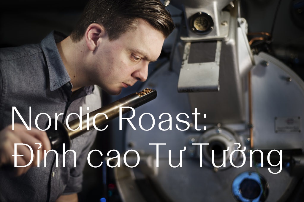 Nordic Roast: Đỉnh cao Tư Tưởng, không phải Profile (hồ sơ rang), nâng tầm cà phê Specialty