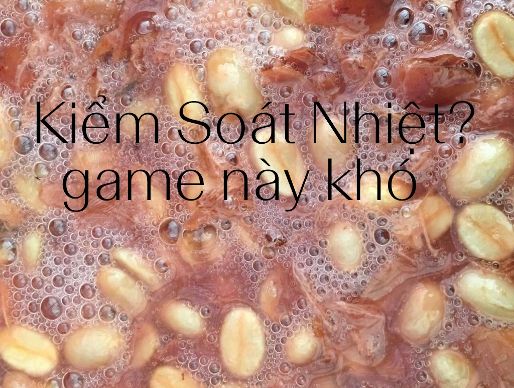 Giao Bể Lên Men Cho Hephaestus - Bạn Sẽ Kiểm Soát Được Hương Vị 