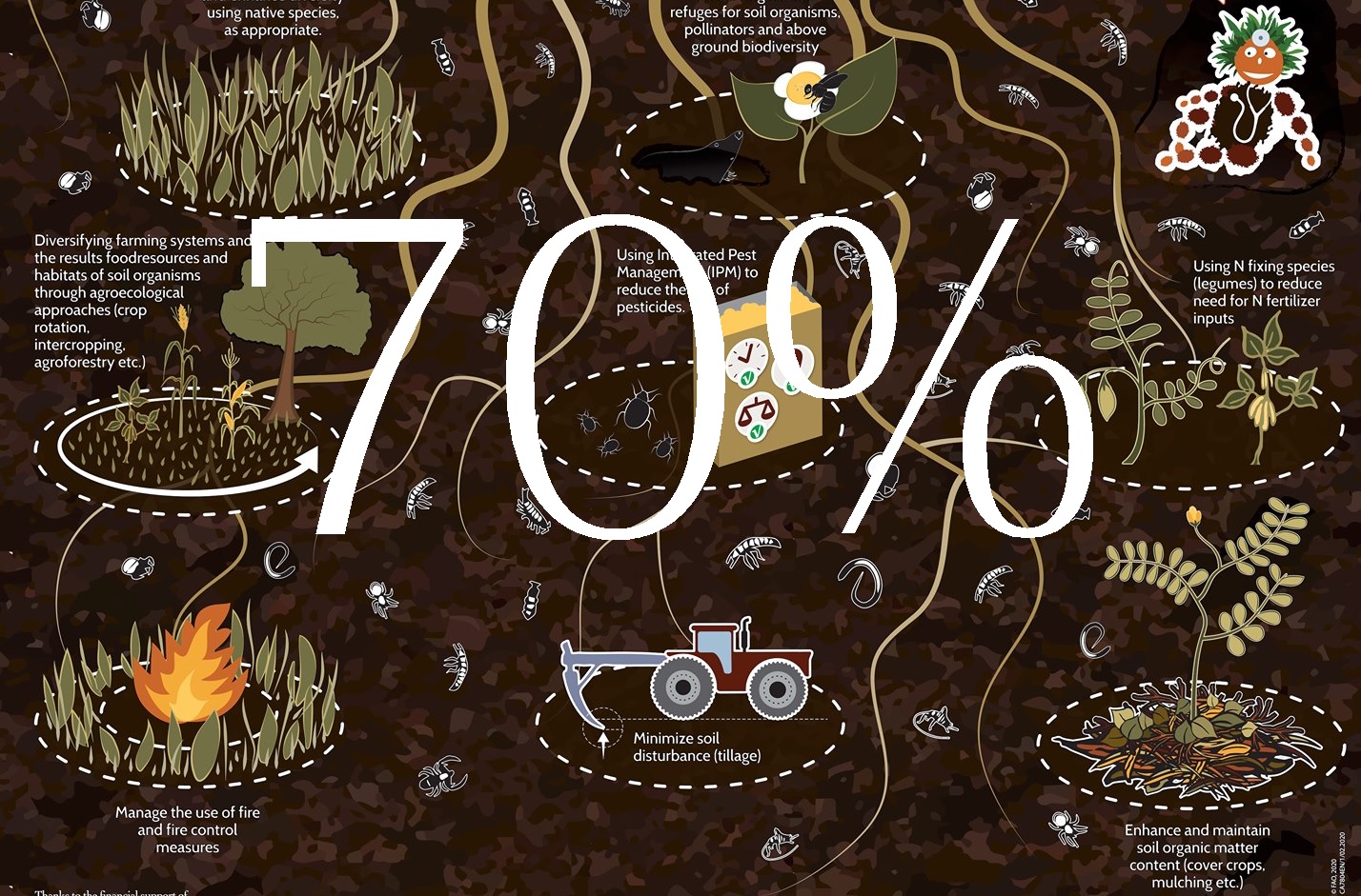 Từ Đất Boquete Panama Đến Da Dermis Của Hermes