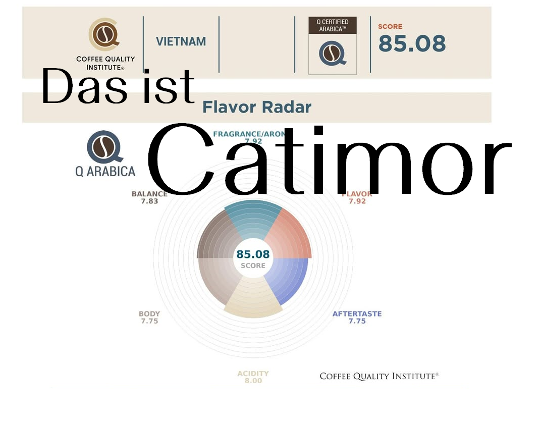Das Ist Catimor? Nein, Das Ist Sehr Gut, Wow!