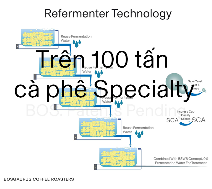 Công nghệ Refermenter (Tái men), Tiềm năng sơ chế cà phê Specialty trên 1000 tấn. 