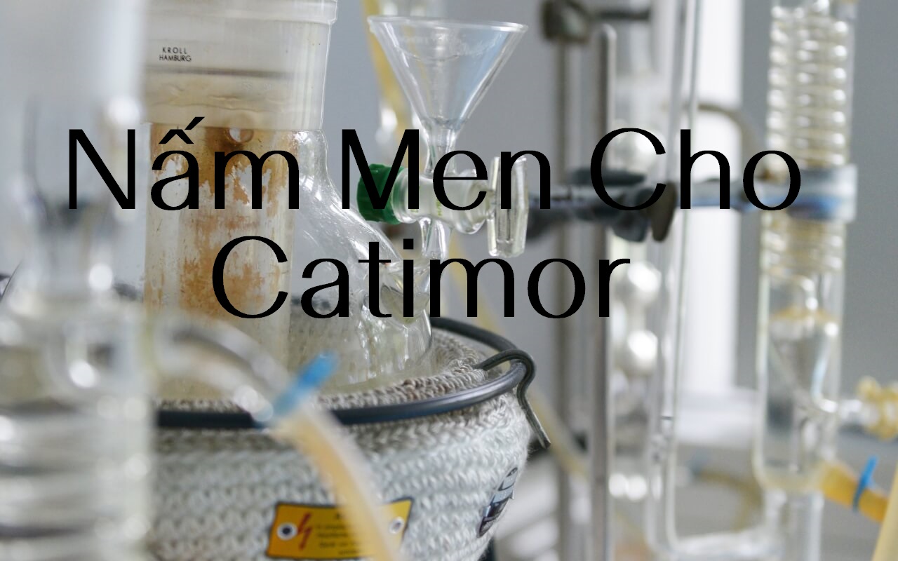 BOSGAURUS COFFEE - Để Hành Động Nói Thay Mỹ Từ Và Mỹ Ảnh.