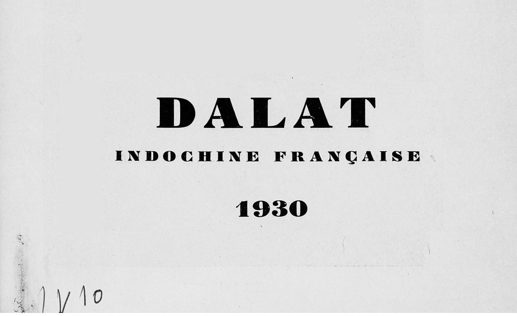 Moka Đà Lạt, Huyền Thoại Quý Tộc và Sự Thật Khoa Học