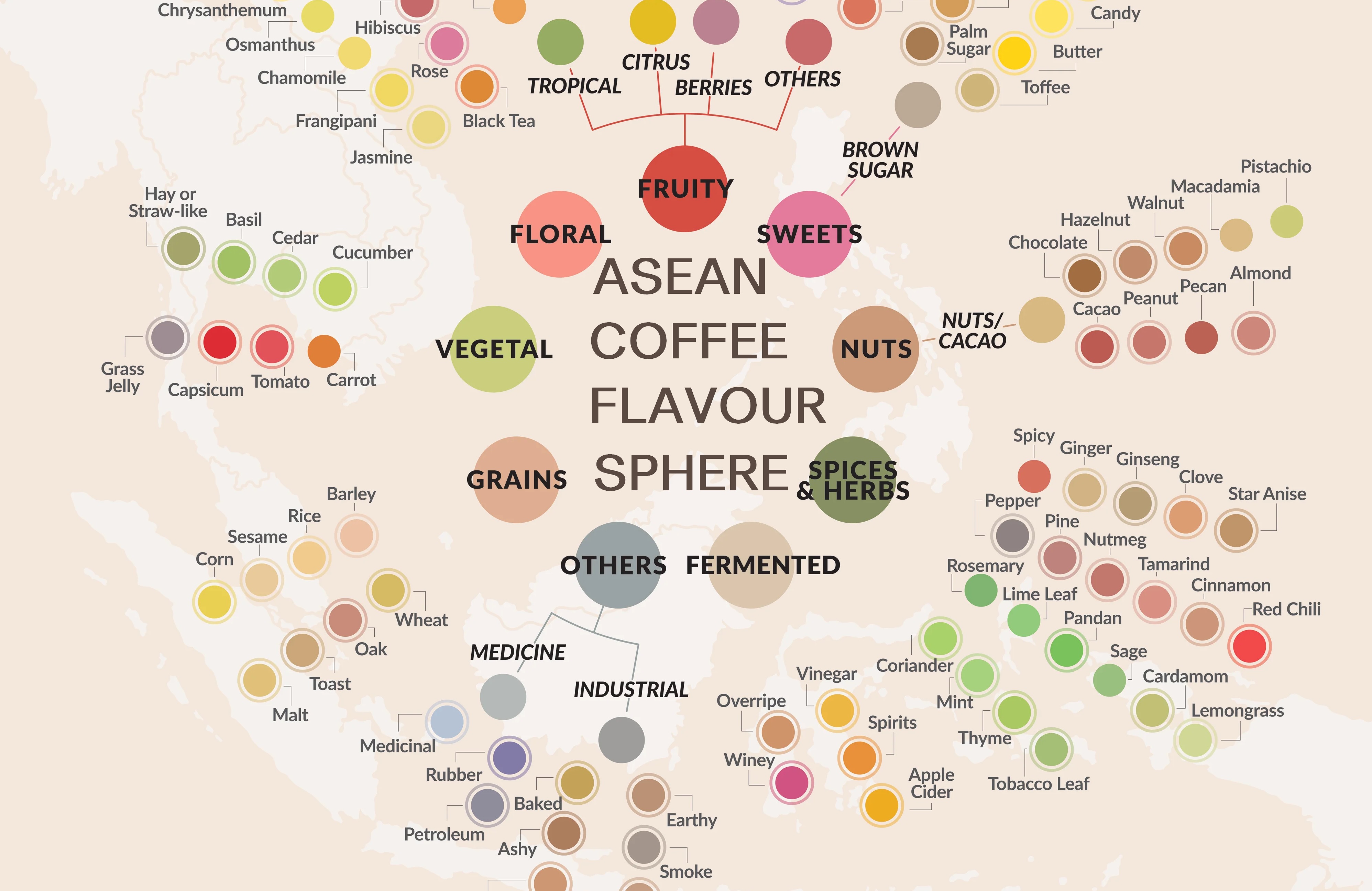 Asean Coffee Flavour Sphere - Hành Trình Định Nghĩa Lại Bản Sắc Cà Phê Đông Nam Á