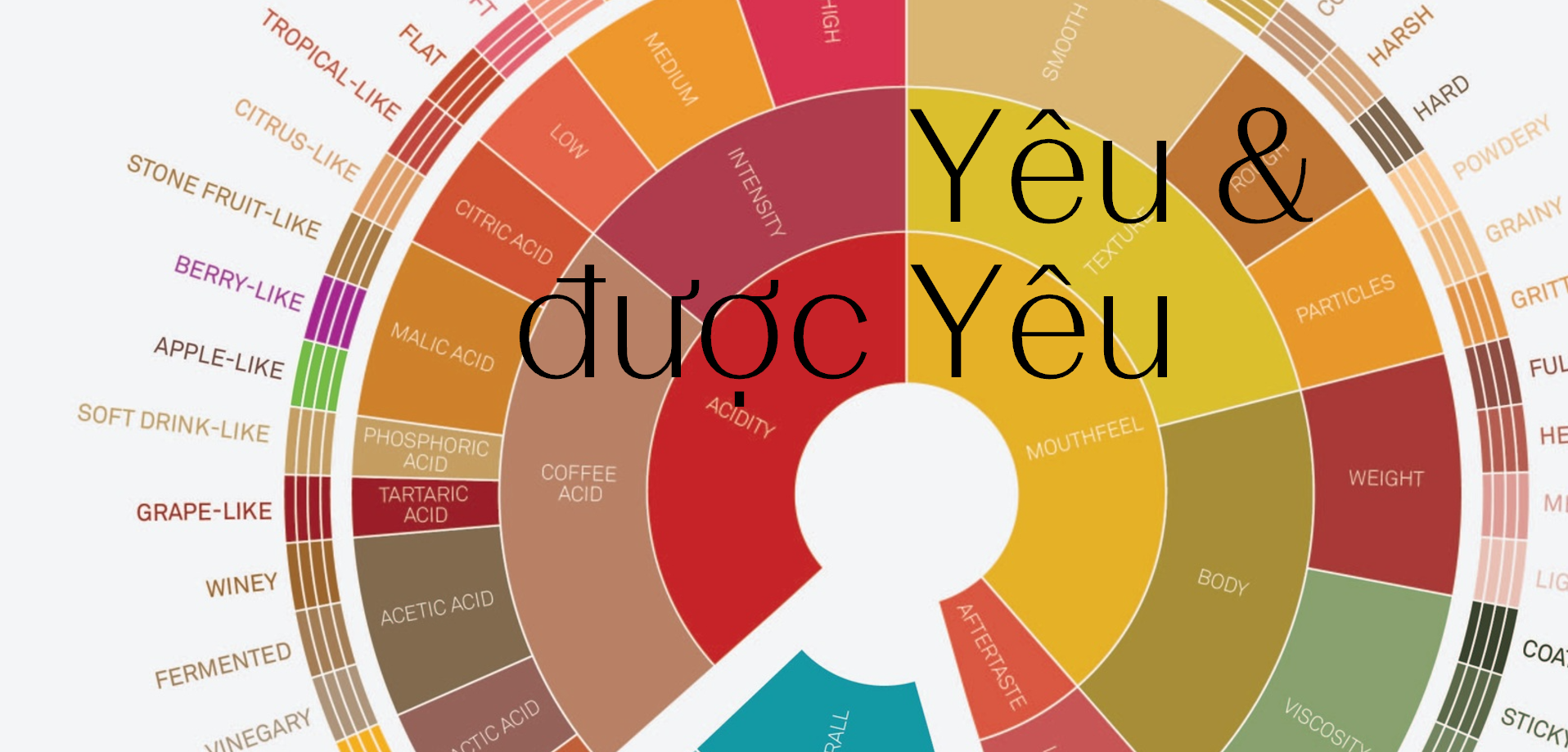 Vị chua – Yêu và được Yêu