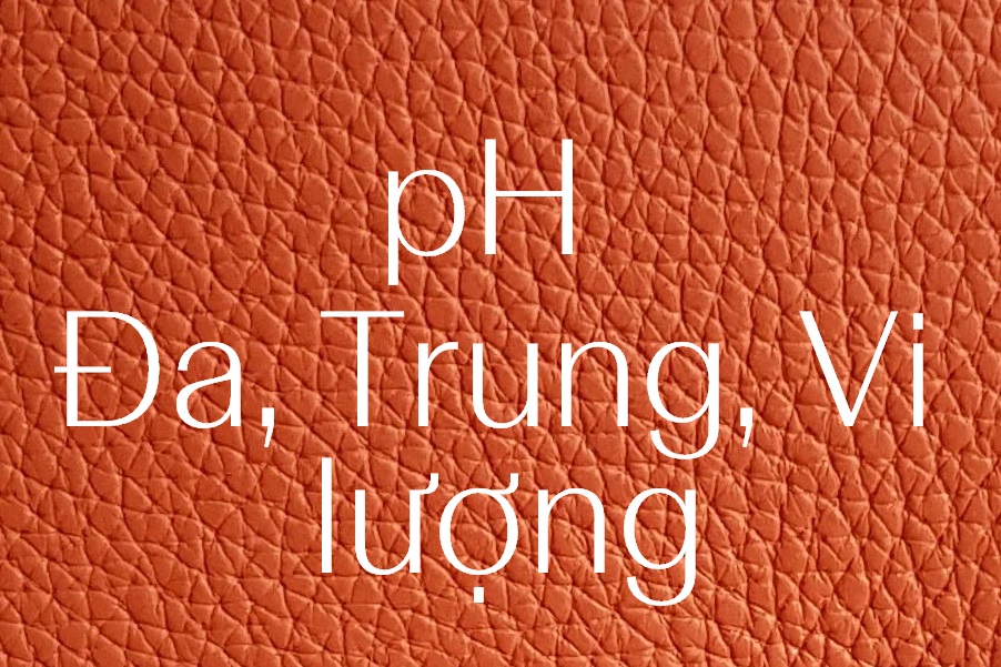 Từ "Xương Cốt" Đến "Dinh Dưỡng"