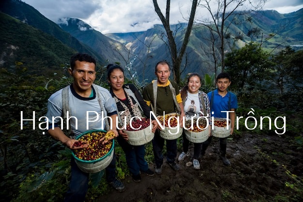 Tách cà phê kể câu chuyện hạnh phúc của người trồng