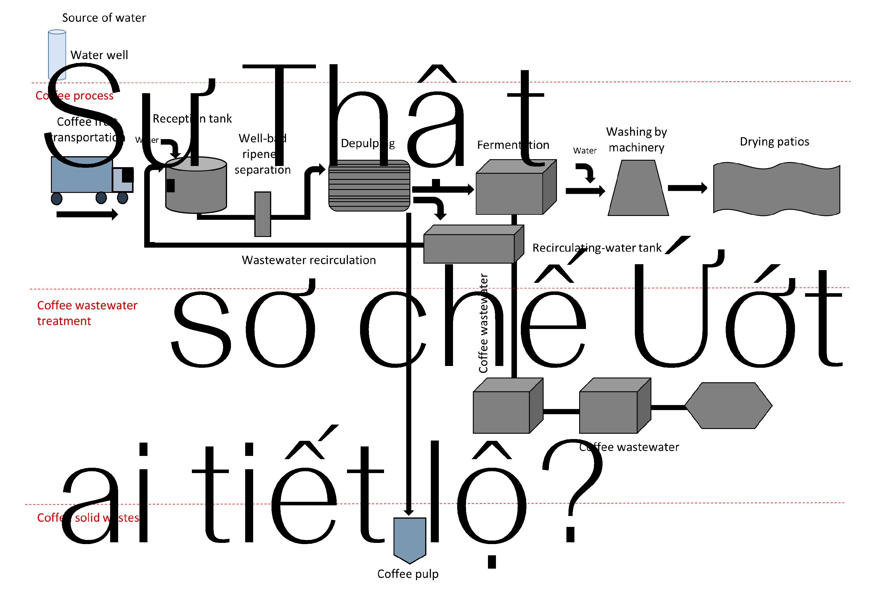 Sự Thật Về Lên Men Ướt,